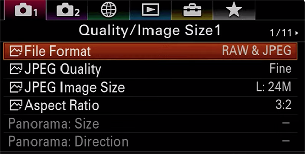 Understanding Camera Drive Modes: Which One to Use When (VIDEO)